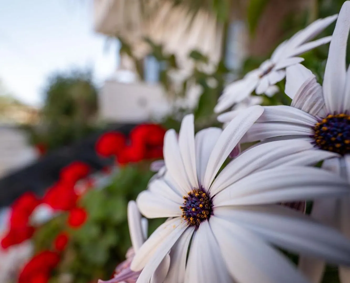 Guesthouse Siars Ksamil Apartman